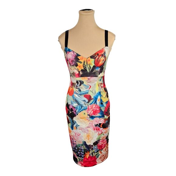 Ted Baker Doona Floral Swirl Dress Sz 1 US 4 - Picture 1 of 9